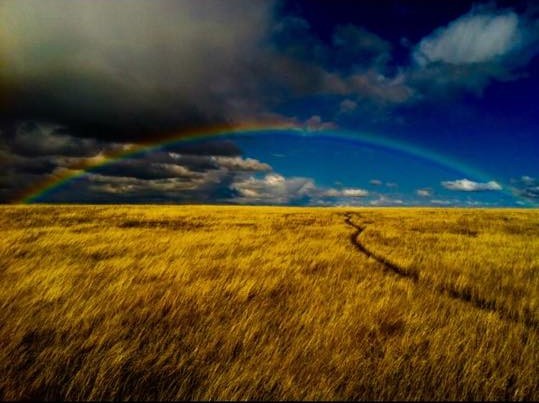 amazing rainbow BN