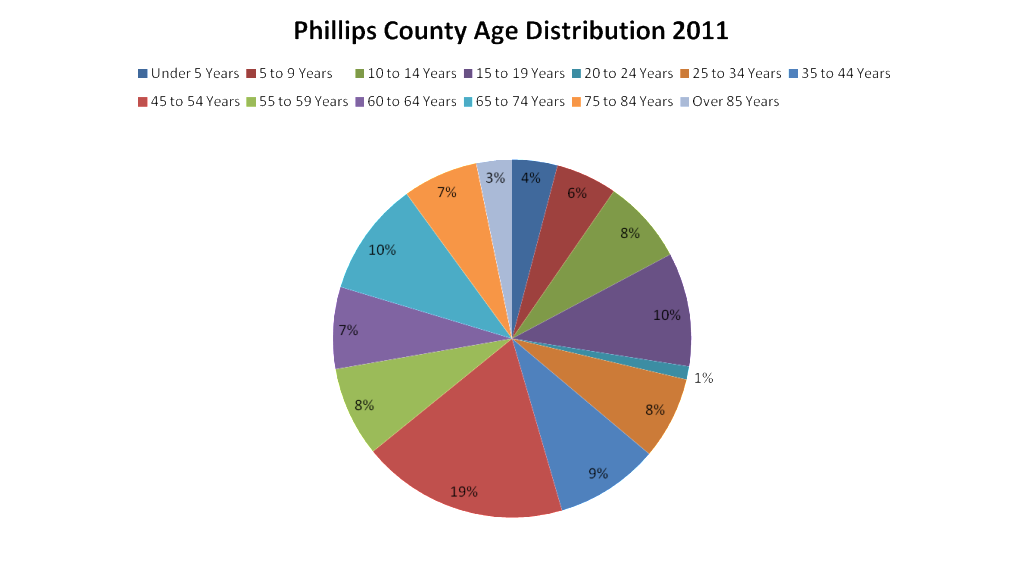 PC age distribution chart