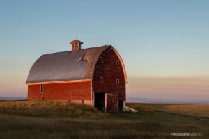 NG barn